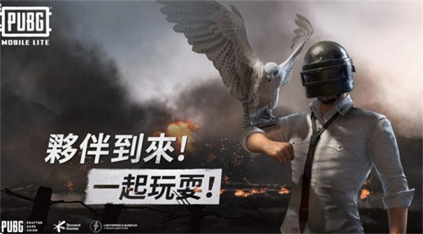 绝地求生轻量版2025最新版