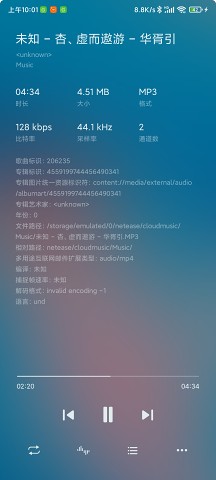 椒盐音乐app下载(Salt Player)