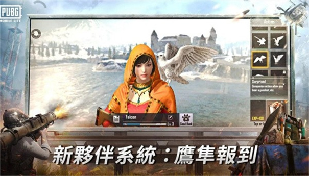 绝地求生轻量版2025最新版
