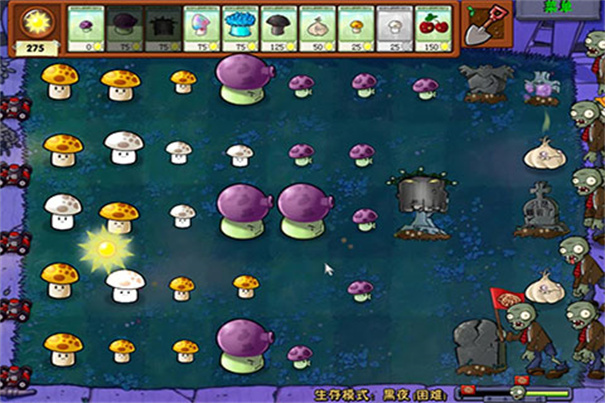 植物大战僵尸95版