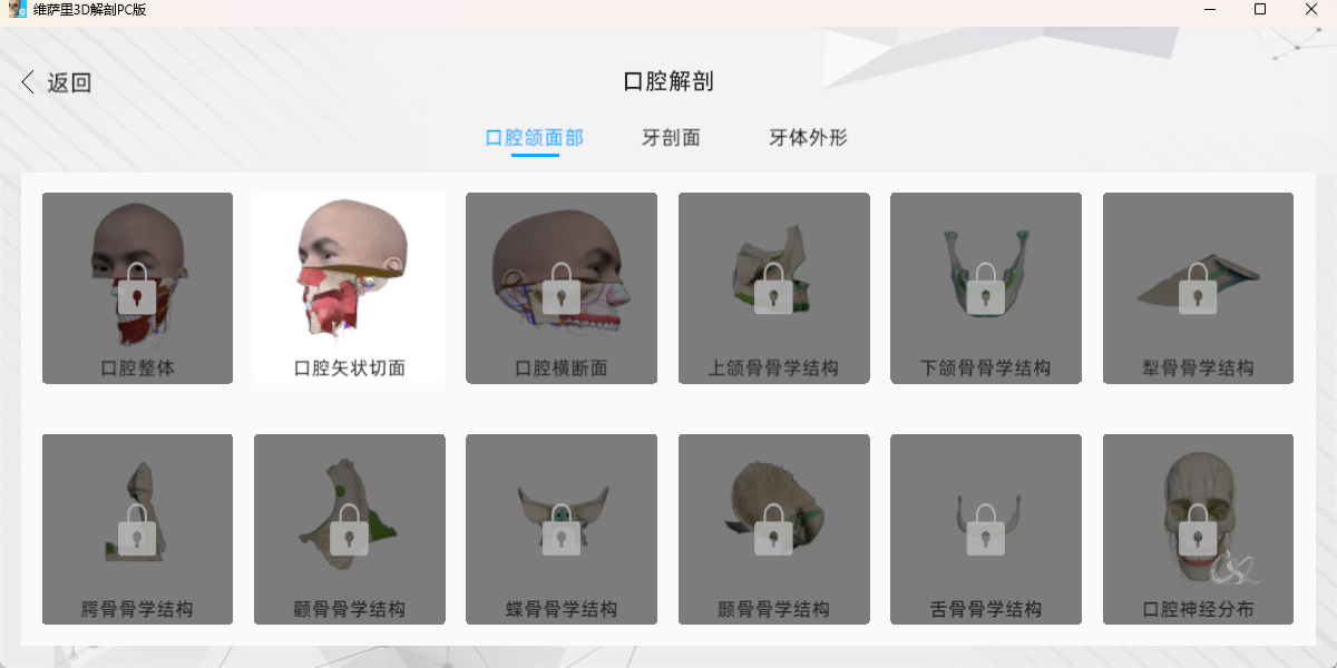 维萨里3D解剖
