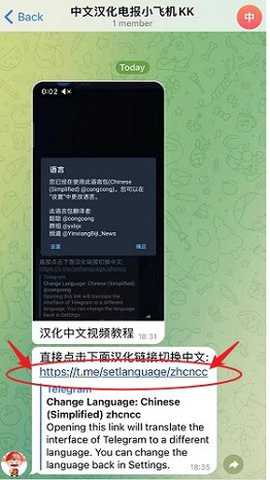 TgX官方版 12.0.1 官方正版