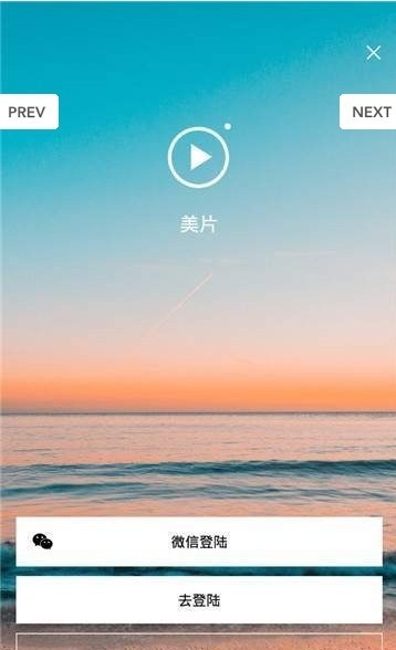 美片