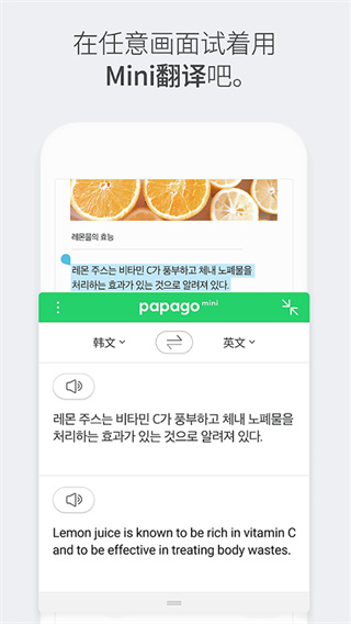 papago翻译器下载最新版本