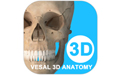 维萨里3D解剖
