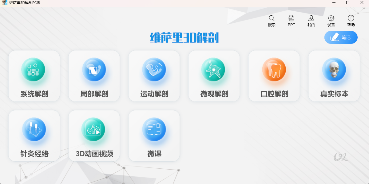 维萨里3D解剖