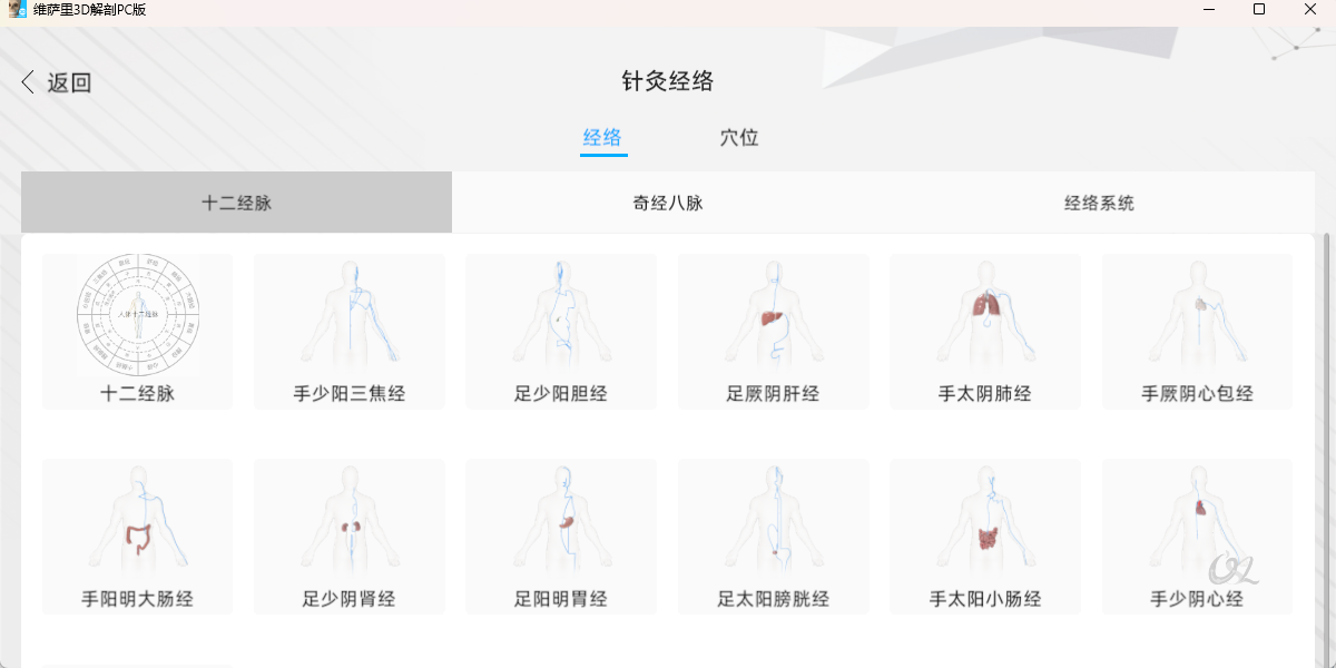 维萨里3D解剖
