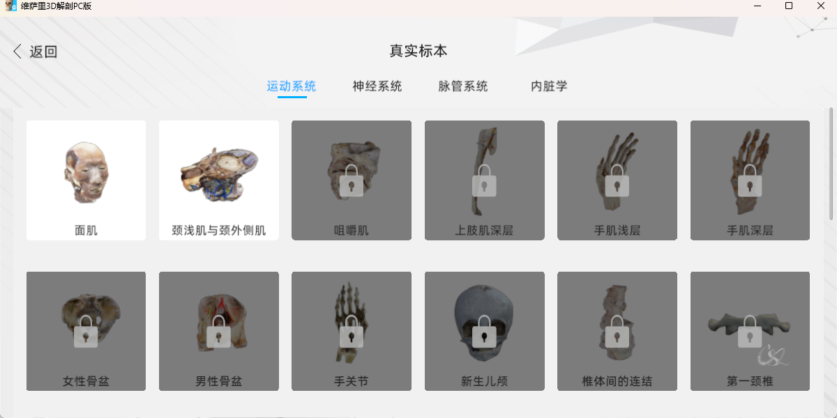 维萨里3D解剖