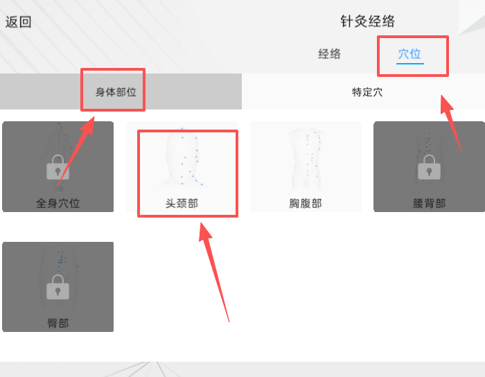 维萨里3D解剖