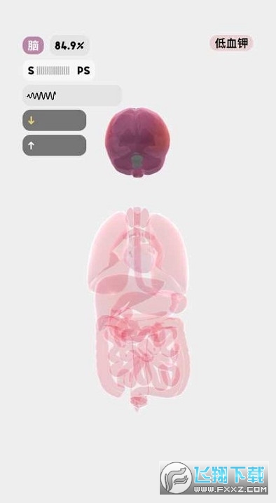 生命life手游