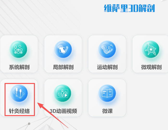 维萨里3D解剖