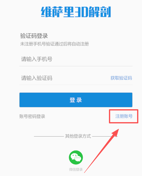 维萨里3D解剖