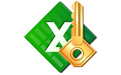 Accent Excel Password Reco