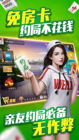 微乐三代辅助器