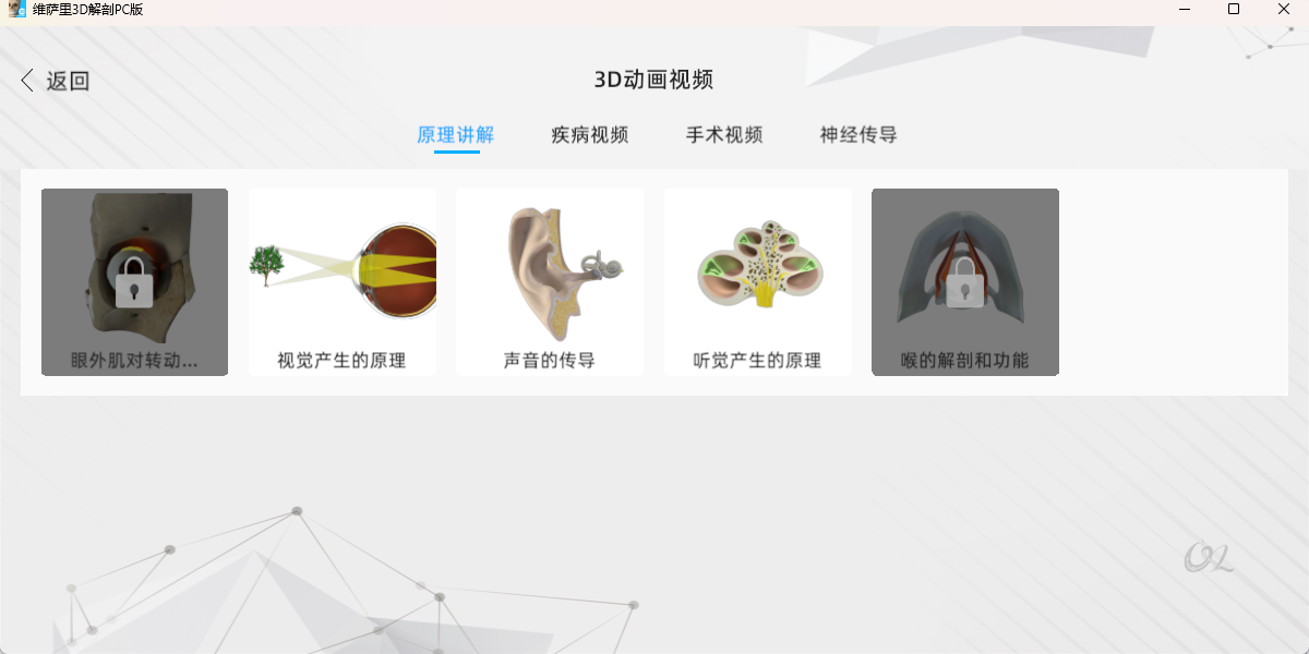 维萨里3D解剖