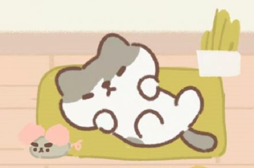 做你的猫