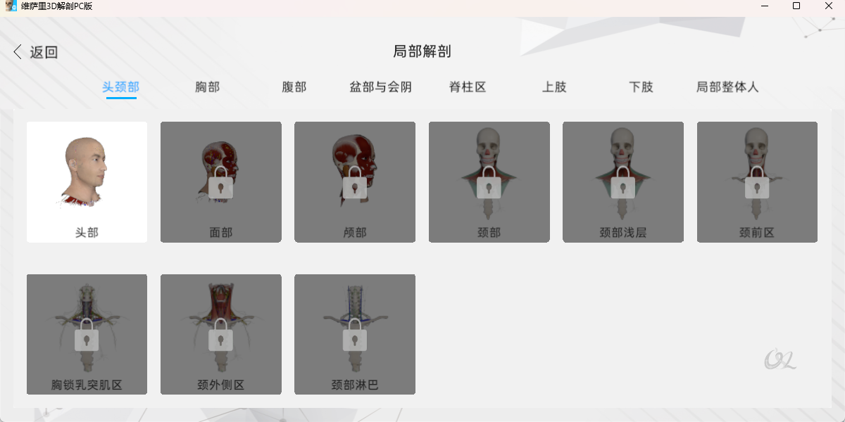 维萨里3D解剖