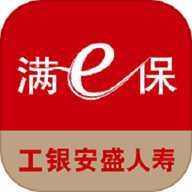 工银安盛人寿保险