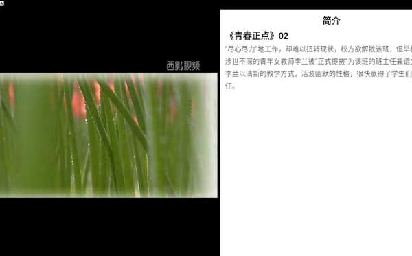 西影视频app下载最新版