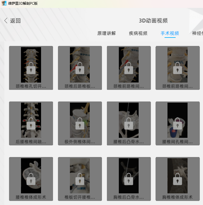 维萨里3D解剖