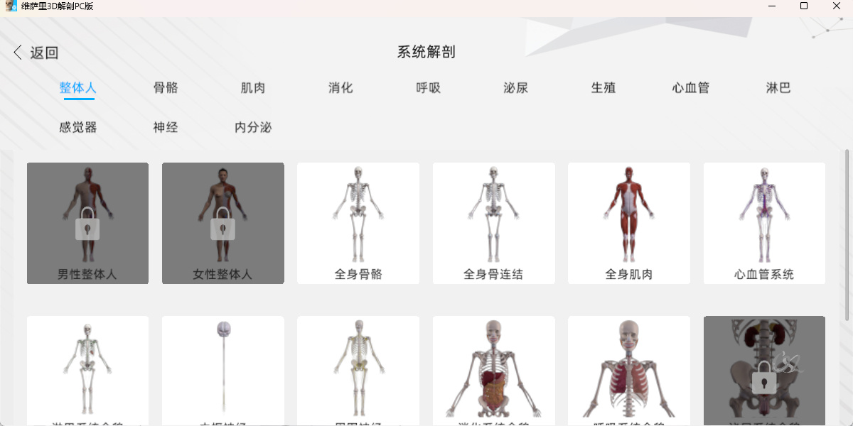 维萨里3D解剖