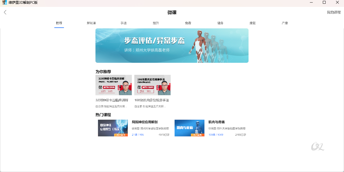 维萨里3D解剖