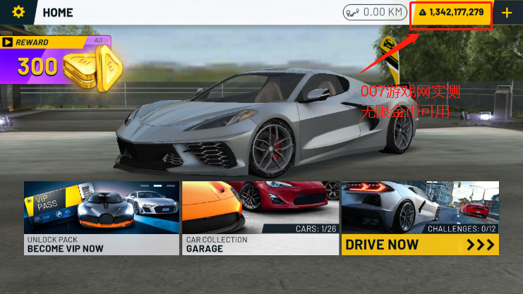 Extreme Car Dri