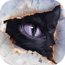 黑猫奇闻社(附攻略)
