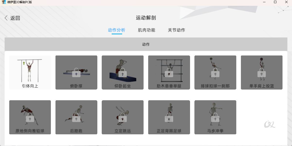 维萨里3D解剖