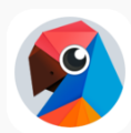 有道翻译官app