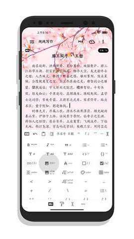 纯纯写作 27.12.1 官方版