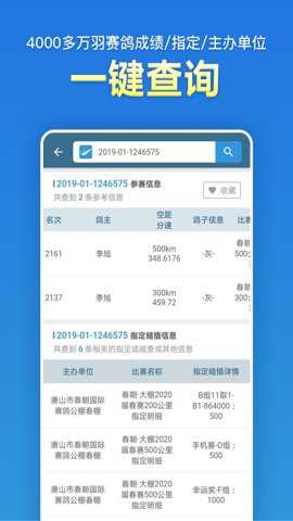 信鸽足环号网查询