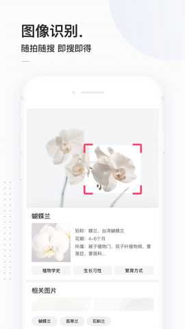百度简单搜索