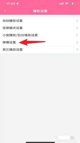 噼哩噼哩pilipili轻量版