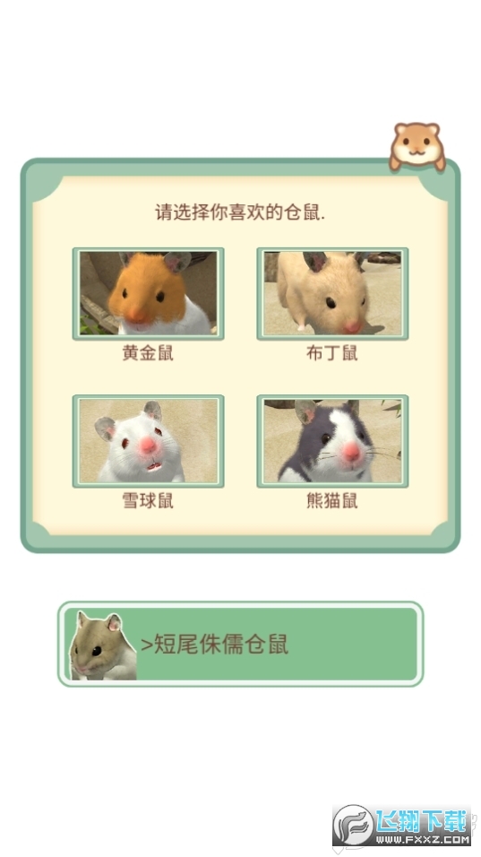 我的仓鼠最新版中文版2023