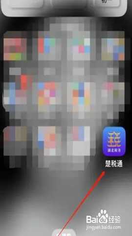 楚税通