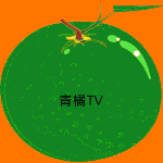 青橘影视app官方版