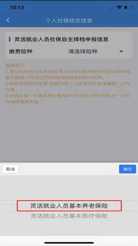 湖北楚税通 8.5.0 安卓版