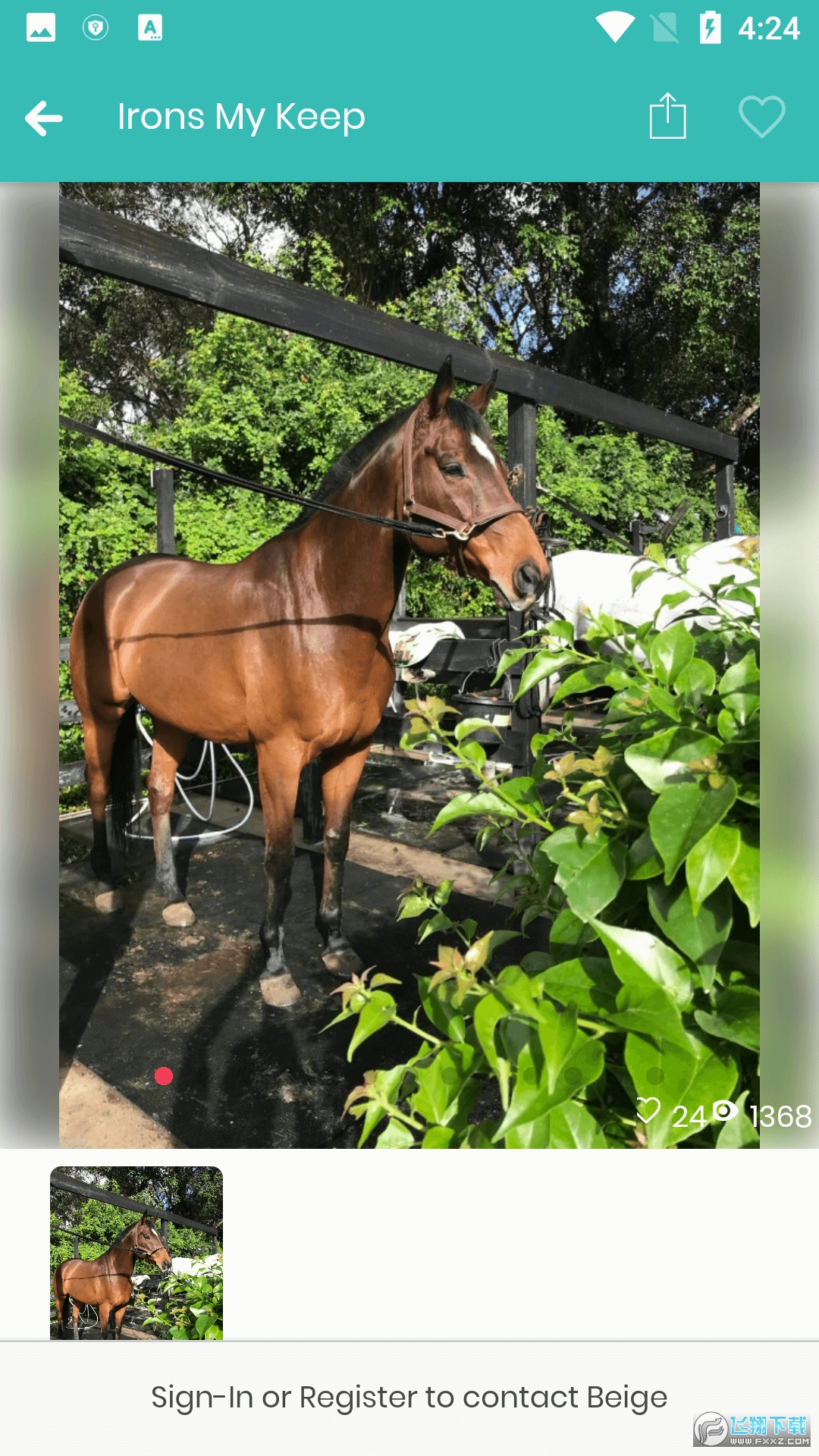 ponyplace马匹交易app手机版