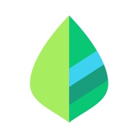 薄荷记账app下载安装