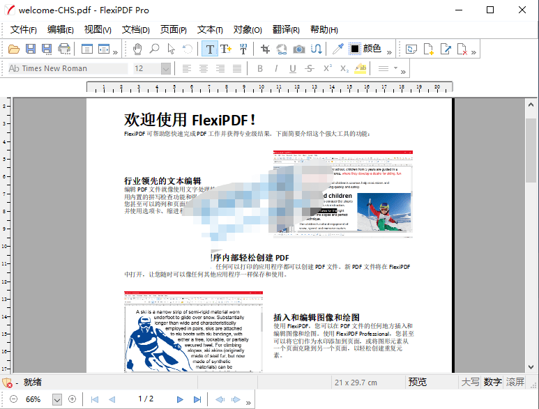 FlexiPDF Pro(PDF编辑器)