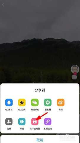 蘑菇视频 1.0.0 手机版