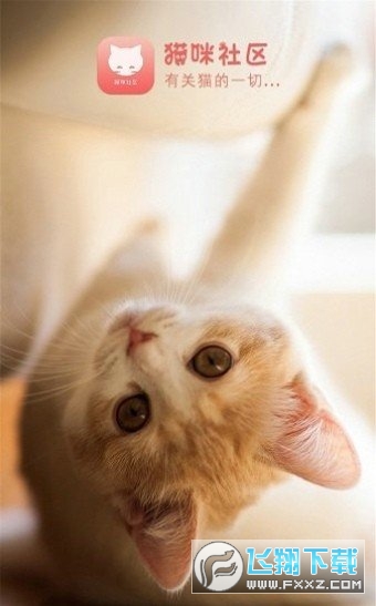 猫咪社区下载最新版
