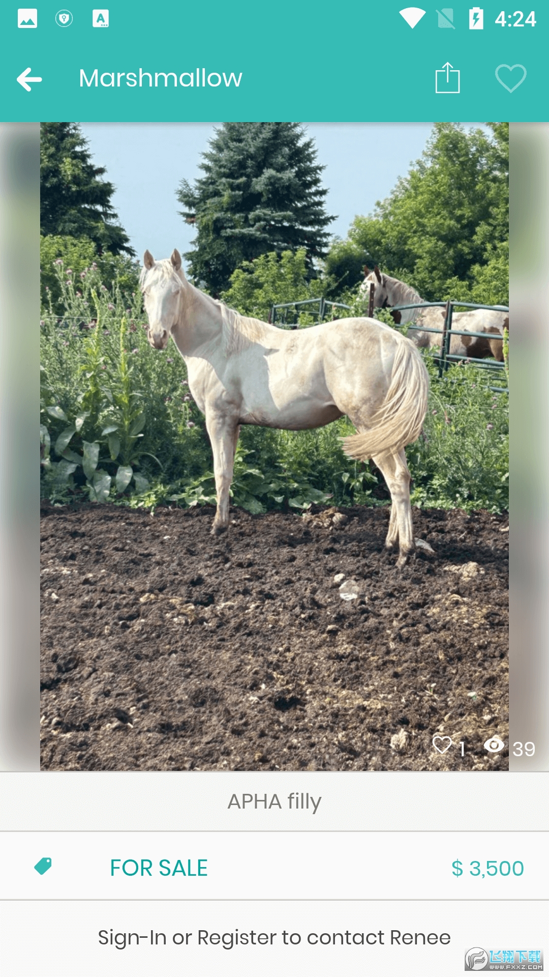 ponyplace马匹交易app手机版