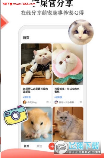 猫猫社区app安卓版
