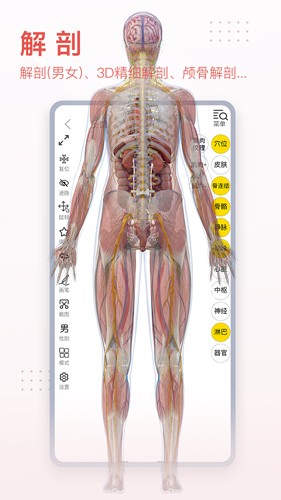 3Dbody艺用(3Dbody艺用三维人体模型)V8.4.41 安卓最新版