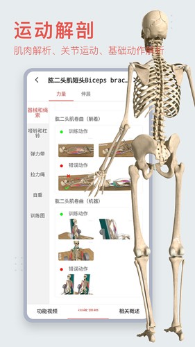 3Dbody艺用(3Dbody艺用三维人体模型)V8.4.41 安卓最新版