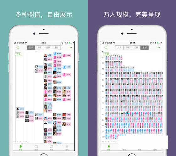 族记家谱电脑版