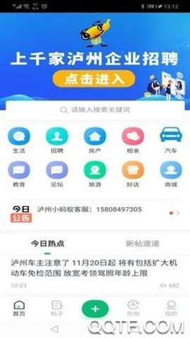 泸州小蚂蚁
