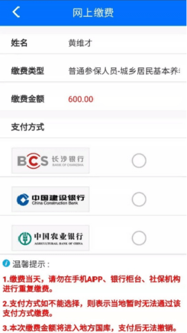 湘税社保缴费app